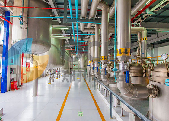 워크샵 20TPD 겨자씨 기름 정제 공장 ISO9001은 뽑아냈습니다