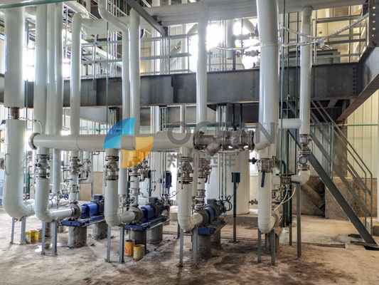 유채 기름 전처리 식물 기름 종자 처리 30-1500TPD