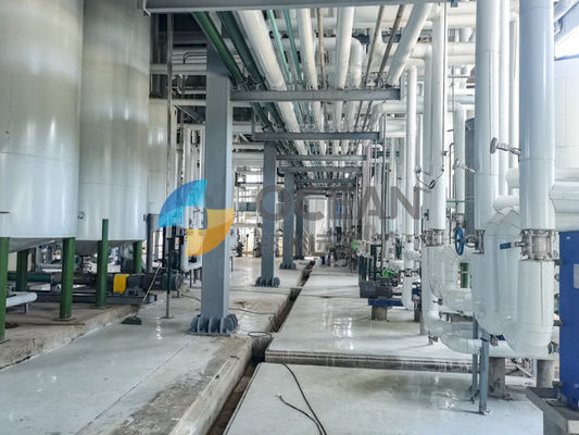 진공 소취를 동결하는 산업적 추운 오일시드 언론 발전소